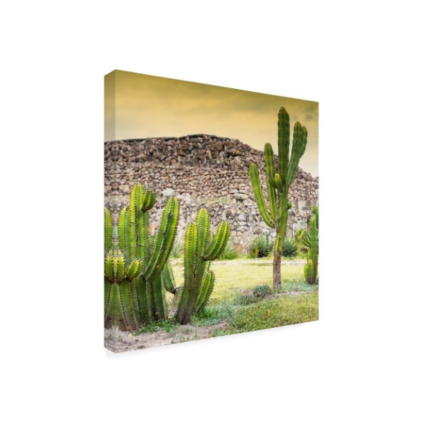 Philippe Hugonnard 'Viva Mexico 3 Mexican Cactus At Sunset' Canvas Art,35x35